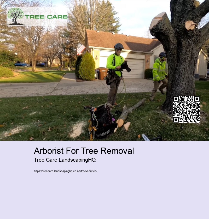 Arborist For Tree Removal