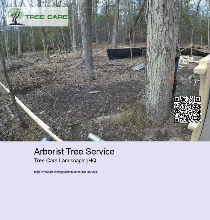 Arborist Tree Service