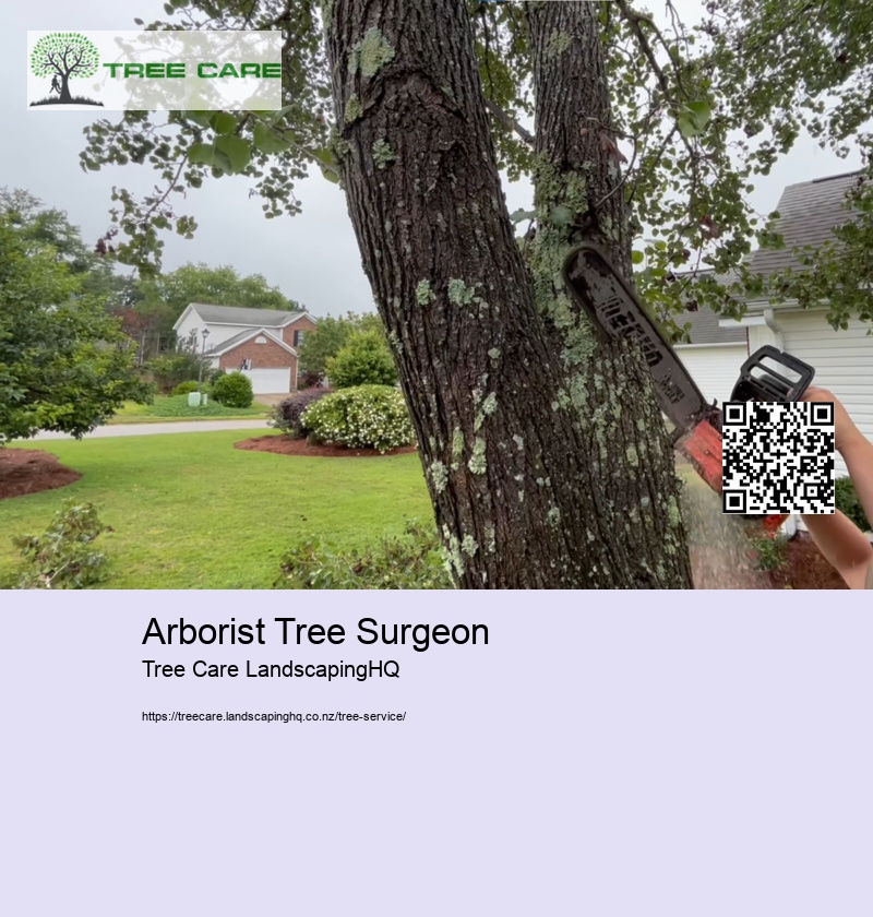 Arborist Tree Surgeon