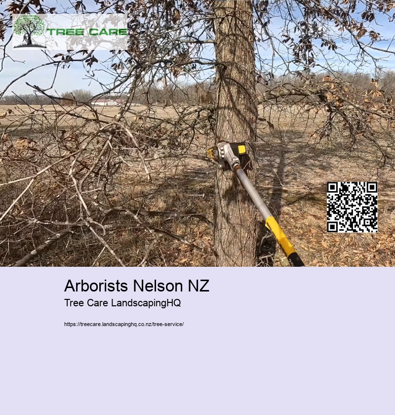 Arborists Nelson NZ