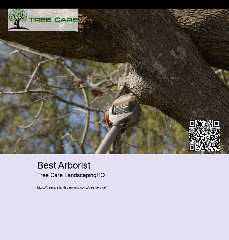 Best Arborist