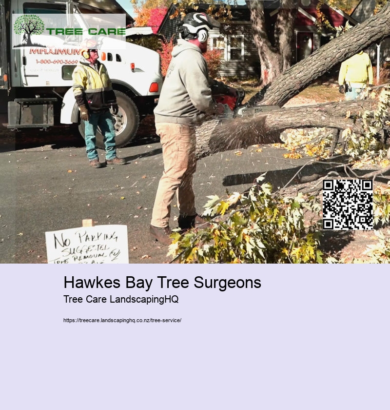 Hawkes Bay Tree Surgeons