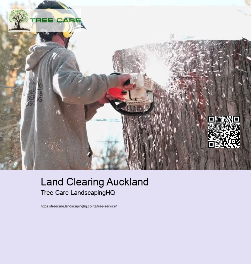 Land Clearing Auckland