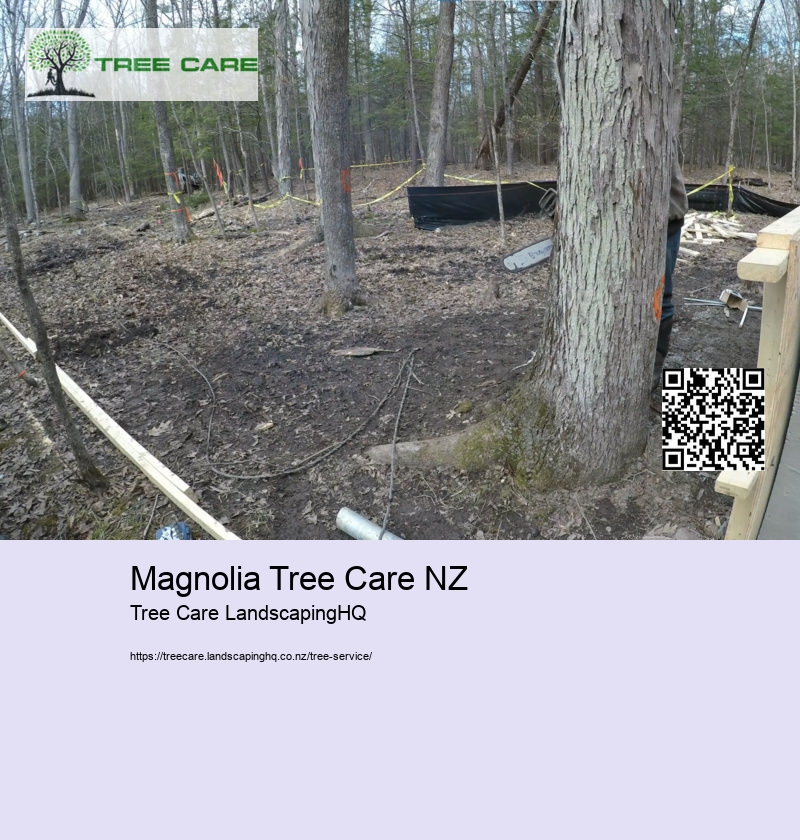 Magnolia Tree Care NZ