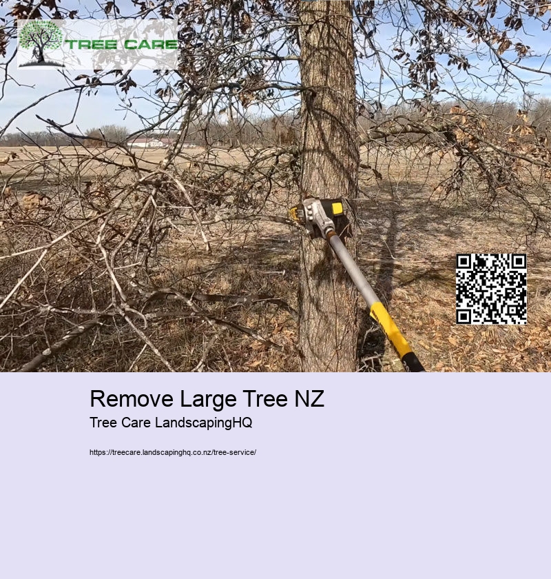 Remove Large Tree NZ