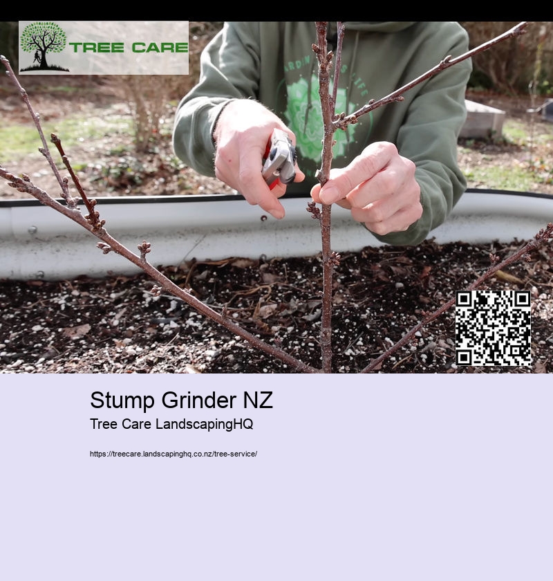 Stump Grinder NZ