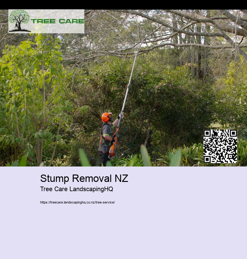 Stump Removal NZ