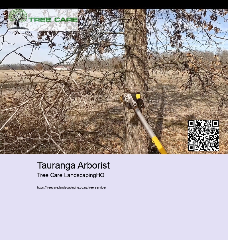 Tauranga Arborist