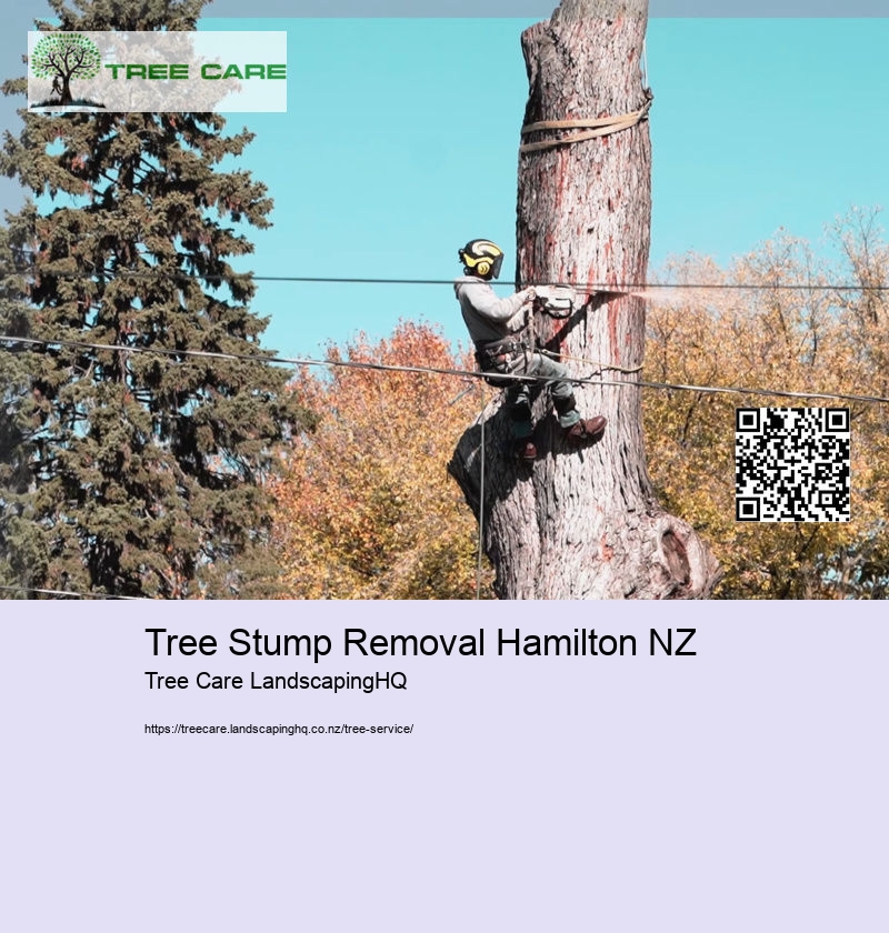Tree Stump Removal Hamilton NZ