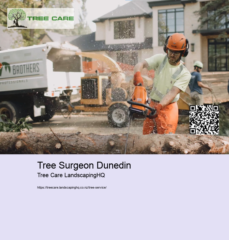 Tree Surgeon Dunedin
