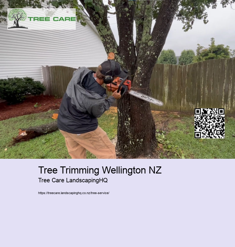 Tree Trimming Wellington NZ