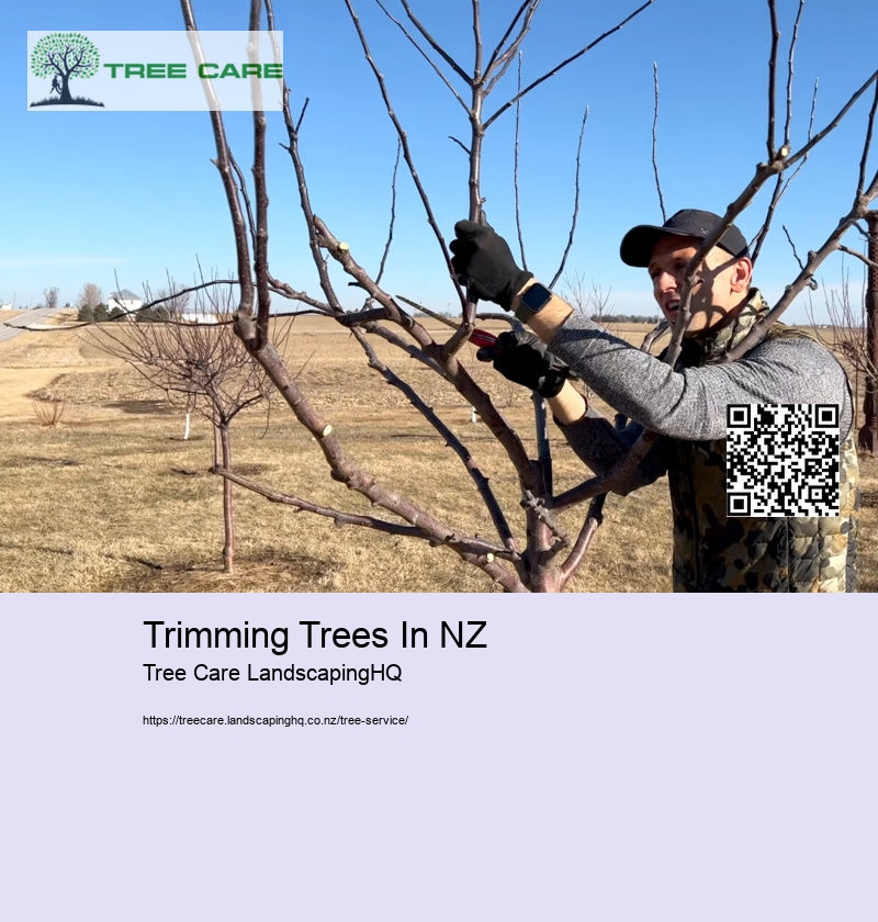 Trimming Trees In NZ
