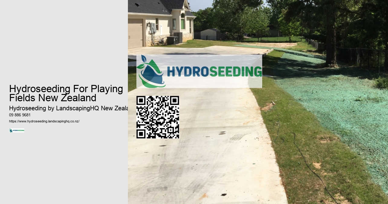 Ground Preparation For Hydroseeding New Zealand