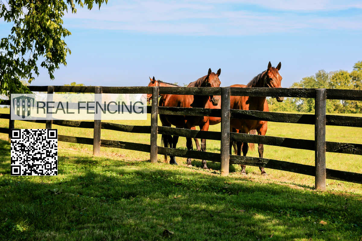 Fence Painting Services New Zealand
