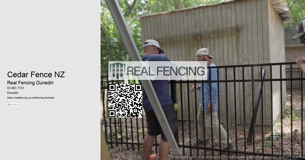 Cedar Privacy Fencing Dunedin