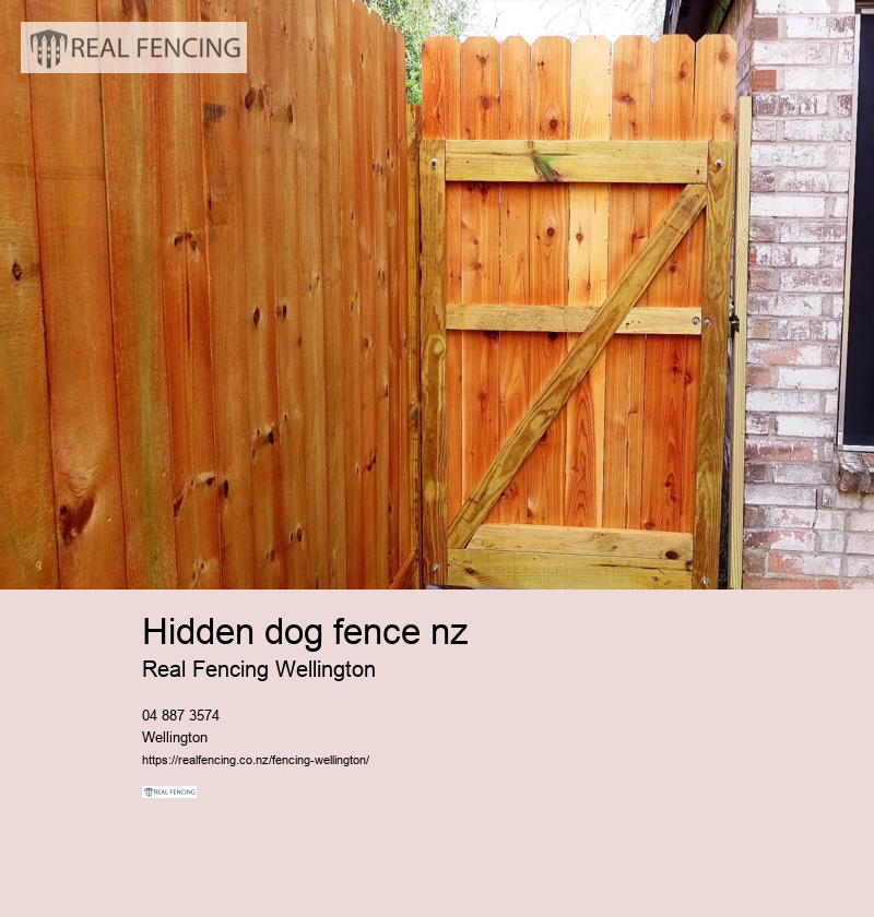 hidden dog fence nz