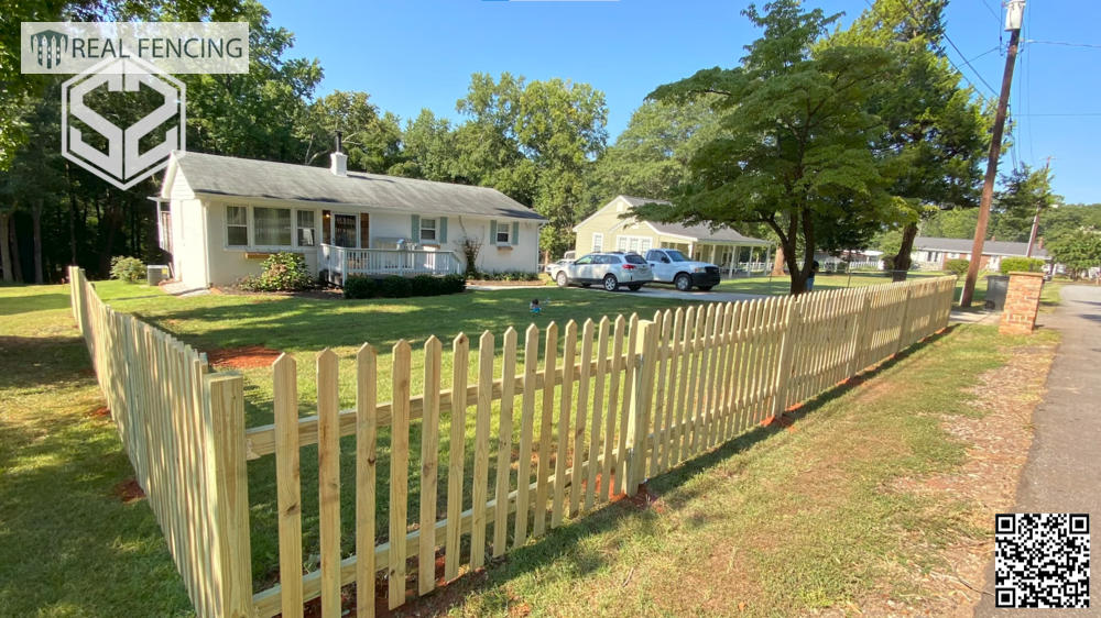 Painted Fences