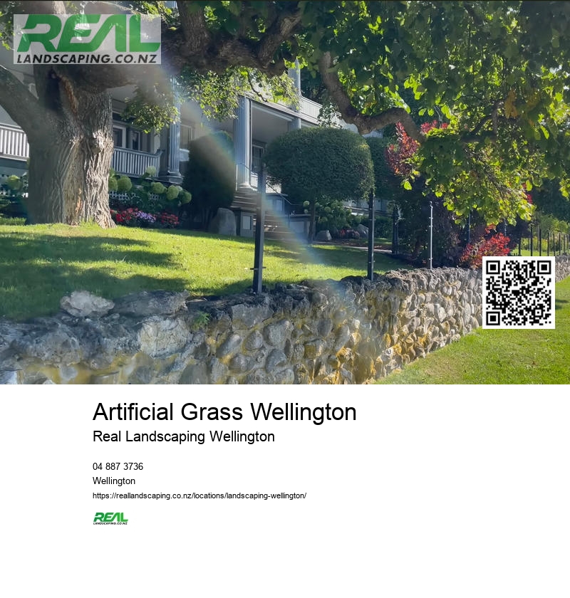 Artificial Grass Wellington