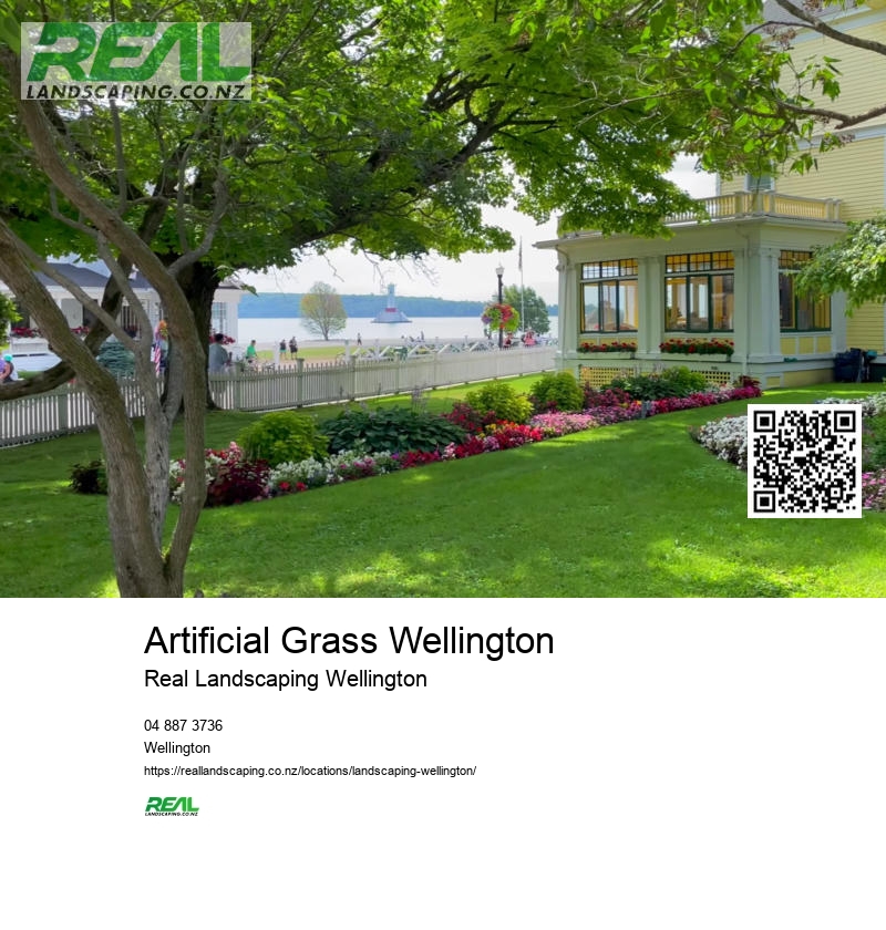 Cheap Artificial Grass NZ