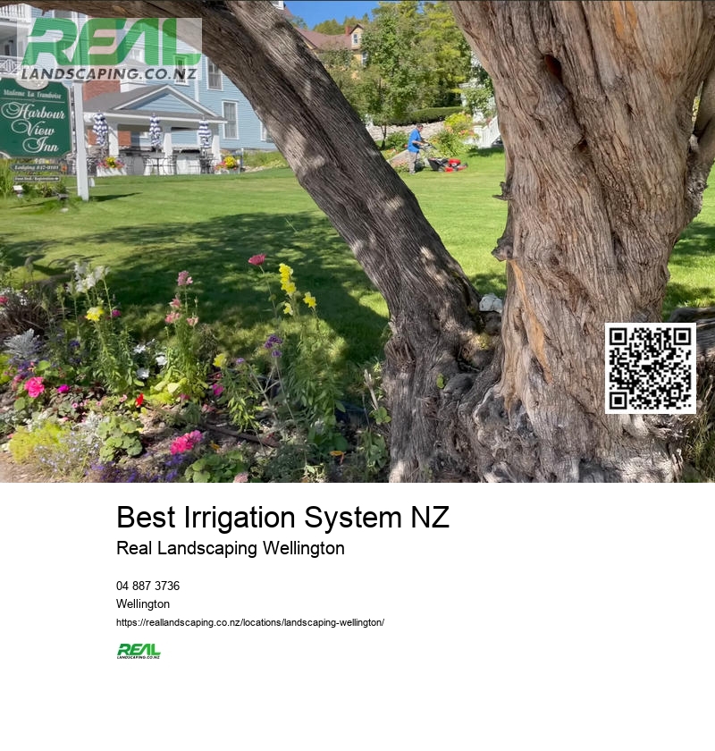 Garden Maintenance Wellington NZ