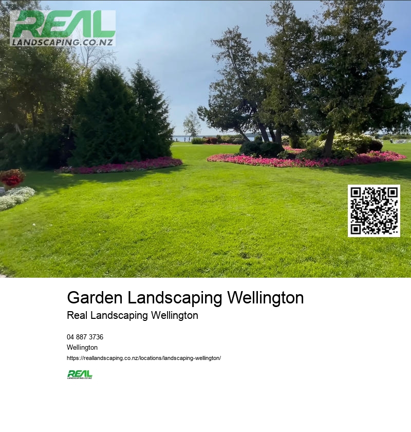 Artificial Grass Wellington