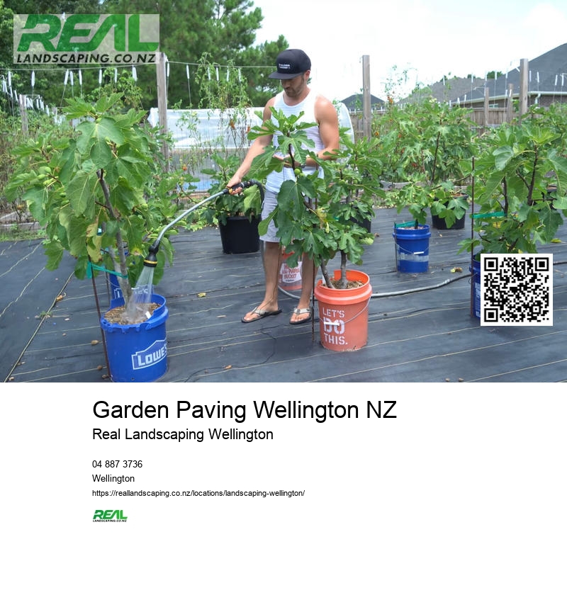 Wellington Landscape Design