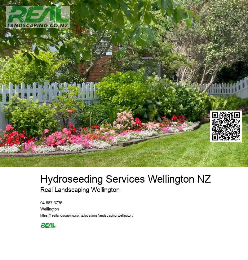 Hydroseeding Services Wellington NZ