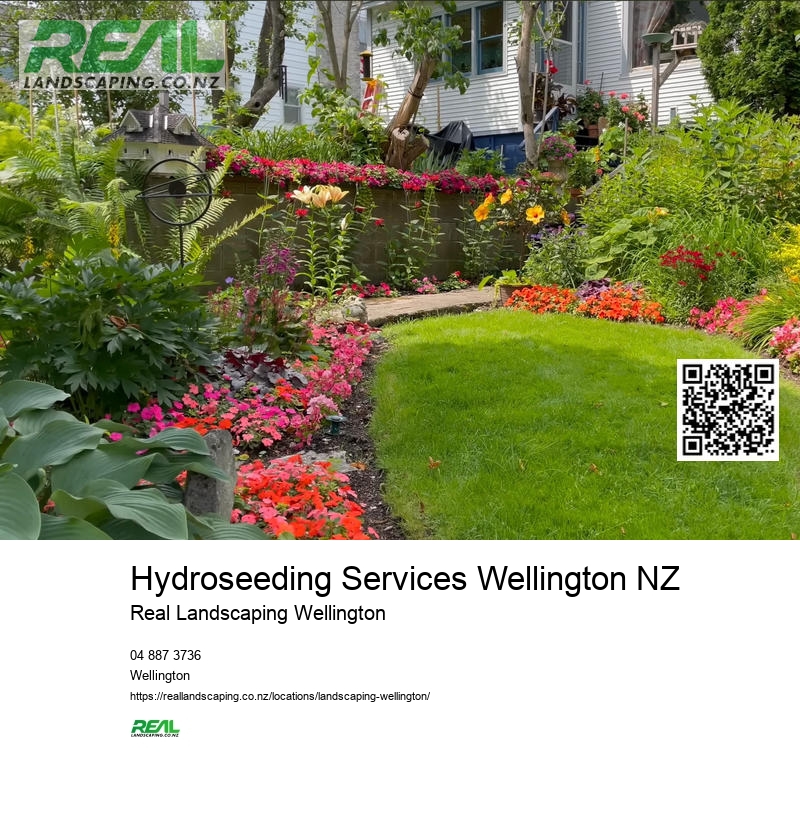 Cheap Artificial Grass NZ