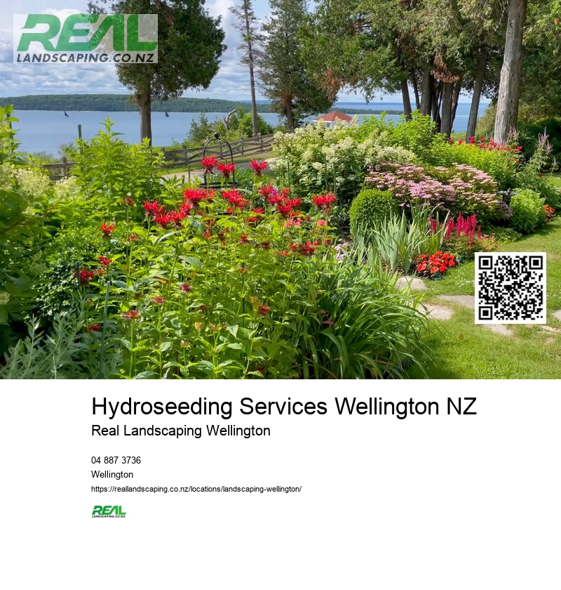 Lawn Care Services Wellington NZ