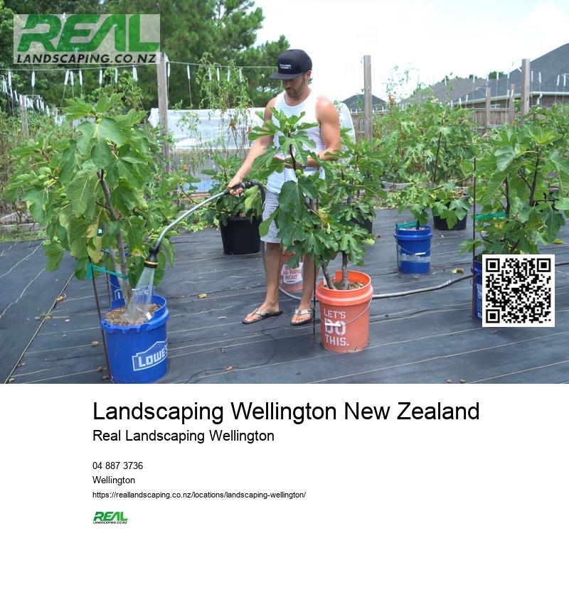 Wellington Garden Edible Landscaping