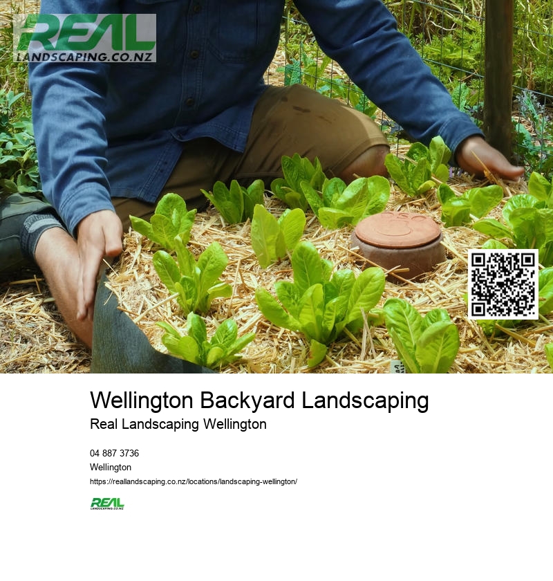 Landscaping Companies Wellington