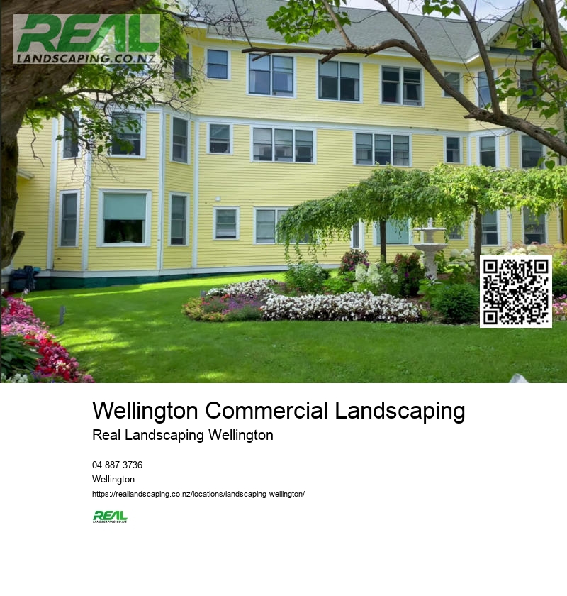 Landscaping Wellington NZ