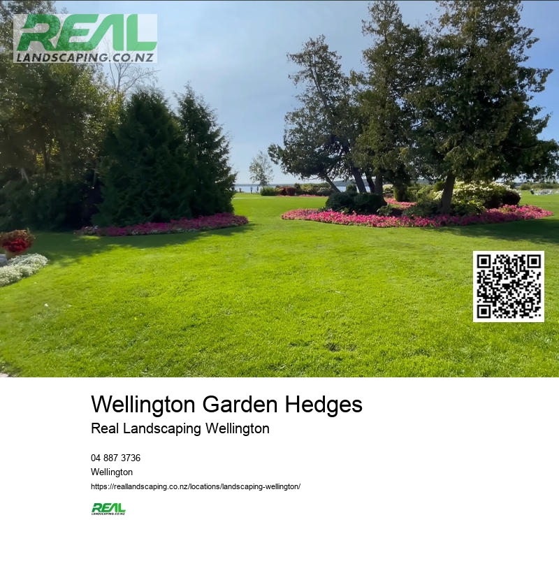 Wellington Garden Hedges