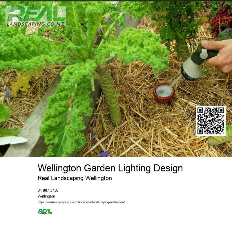 Wellington Garden Deck Design