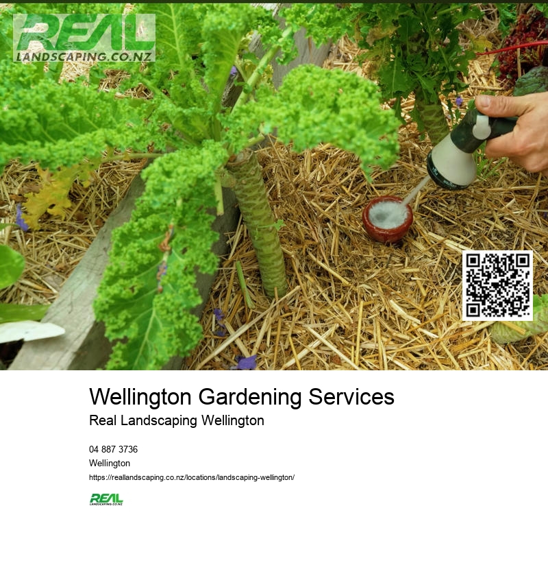 Professional Garden Services Wellington