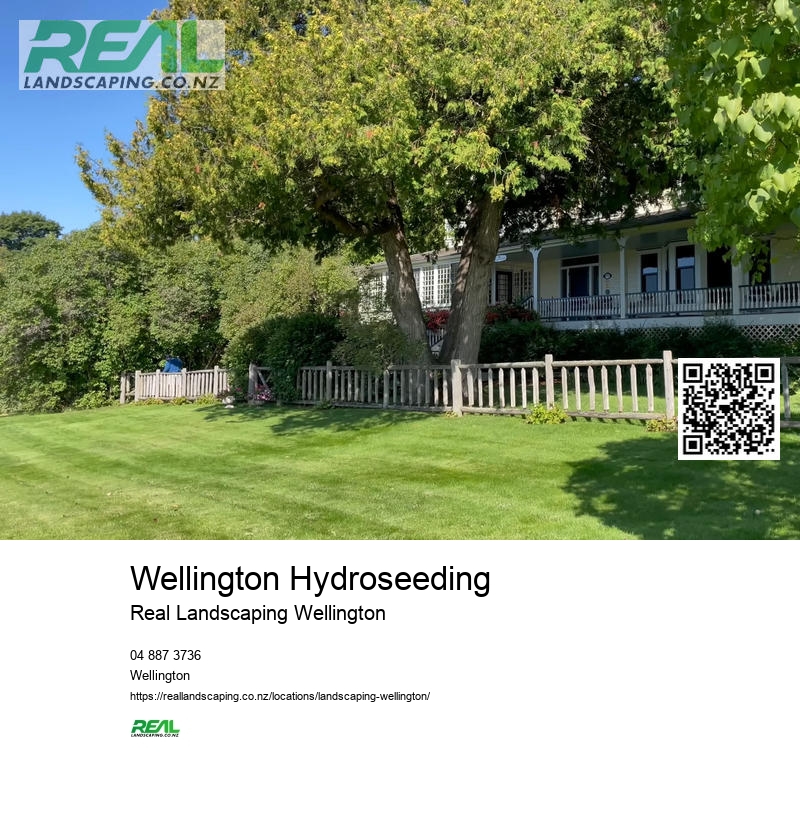 Wellington Flower Bed Design