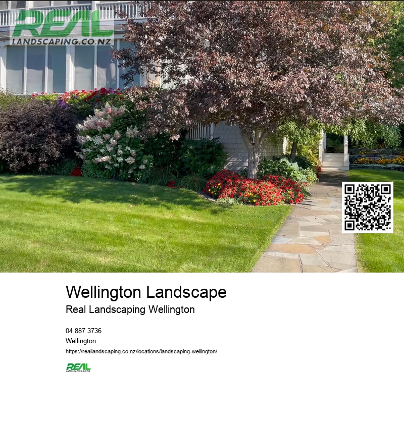 Landscape Architect Wellington NZ