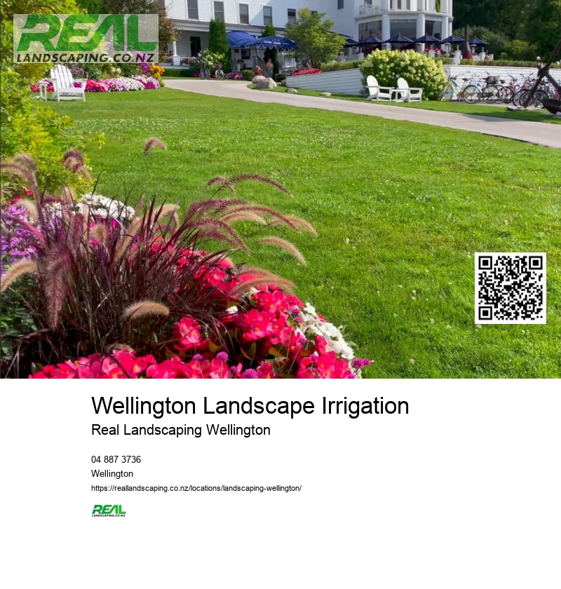 Landscape Architect In Wellington New Zealand