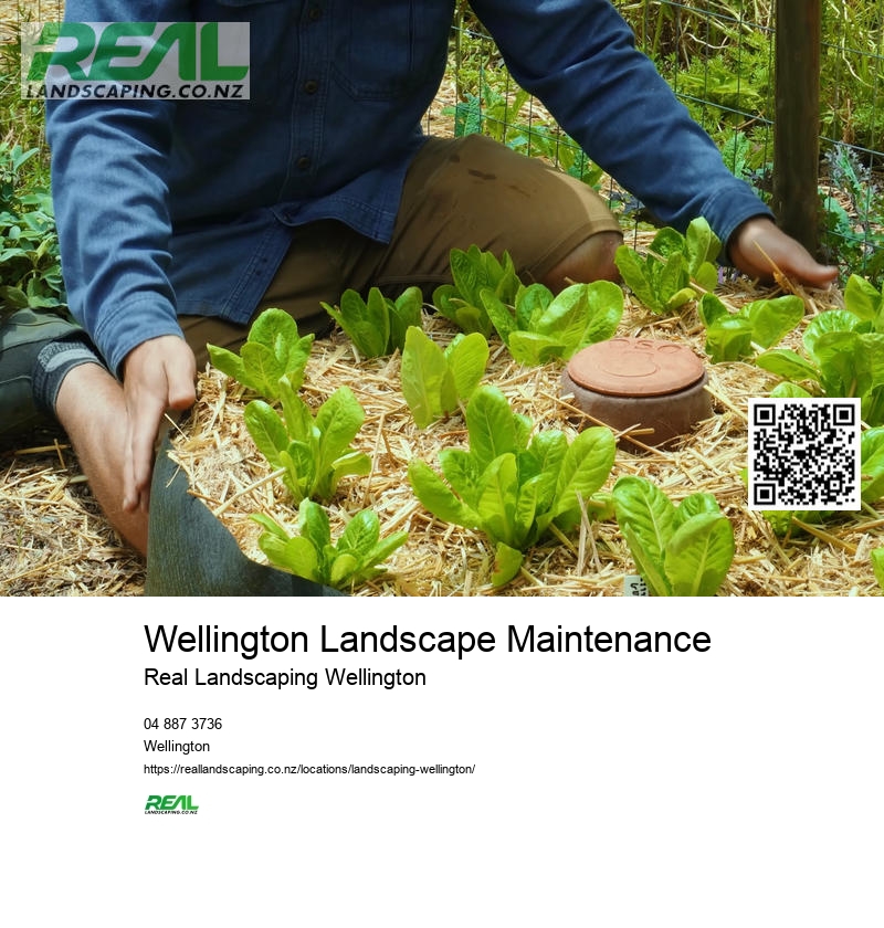 Wellington Garden Bulb Planting