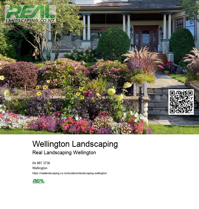 Landscaping Wellington New Zealand