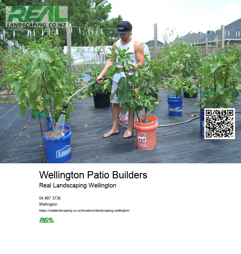 Wellington Garden Maintenance