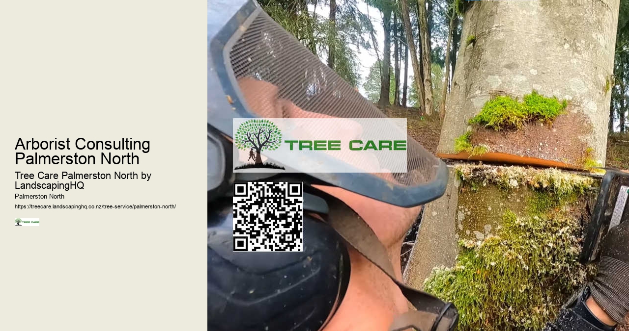 Residential Land Clearing Palmerston North