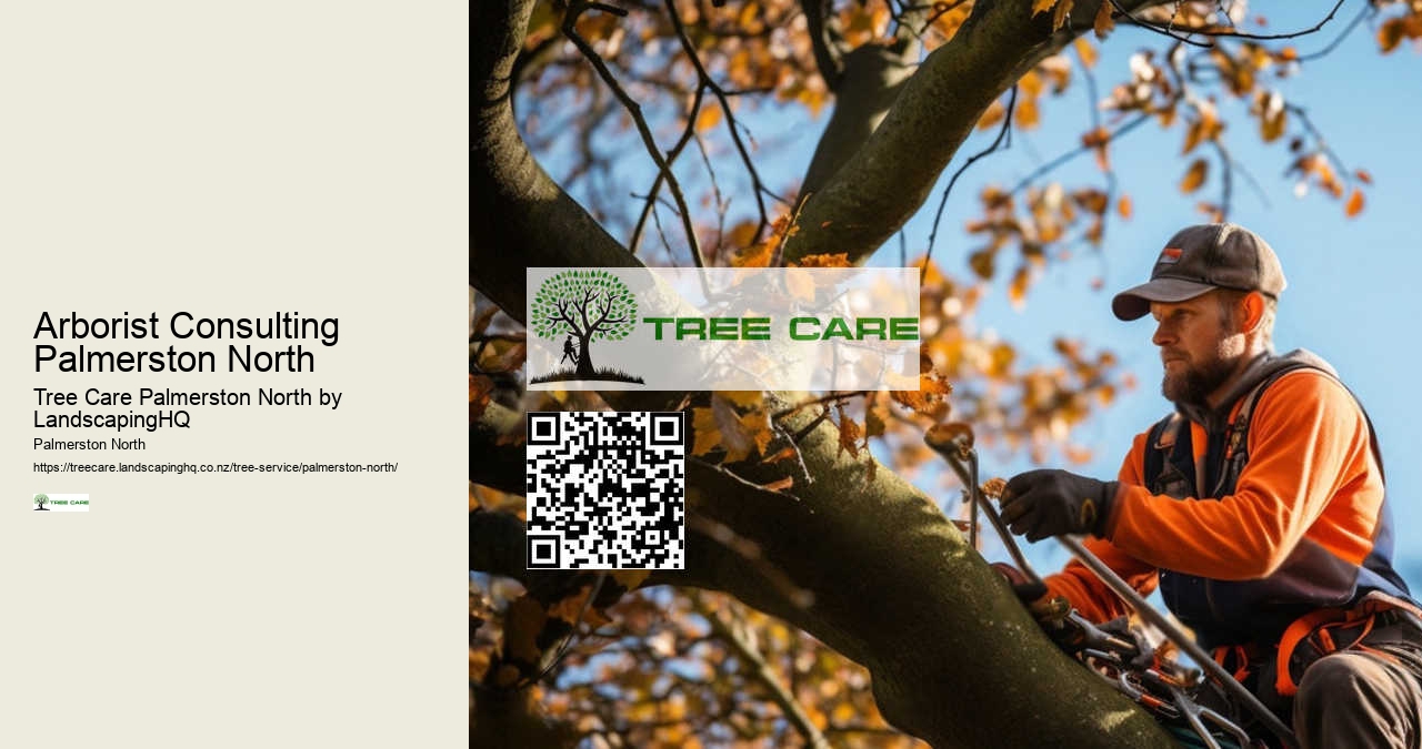 Safe Tree Cutting Palmerston North