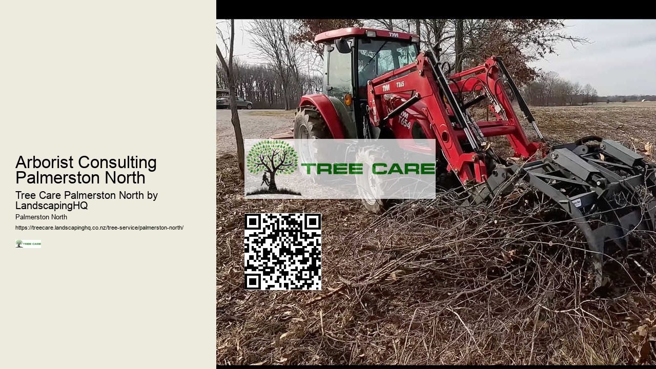 Seasonal Tree Pruning Palmerston North