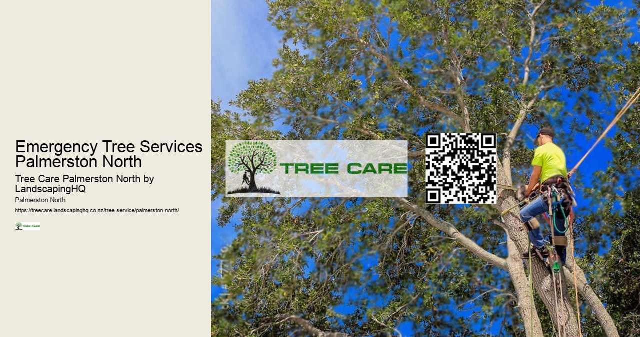 Emergency Tree Services Palmerston North