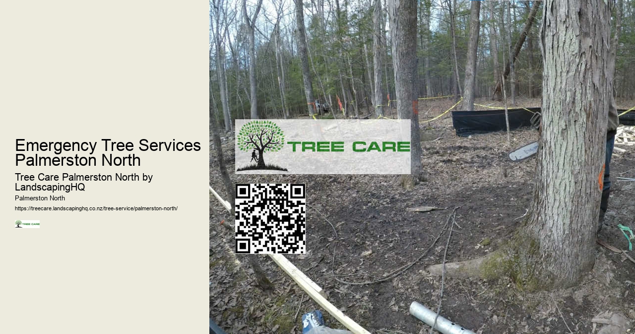 Certified Arborist Palmerston North