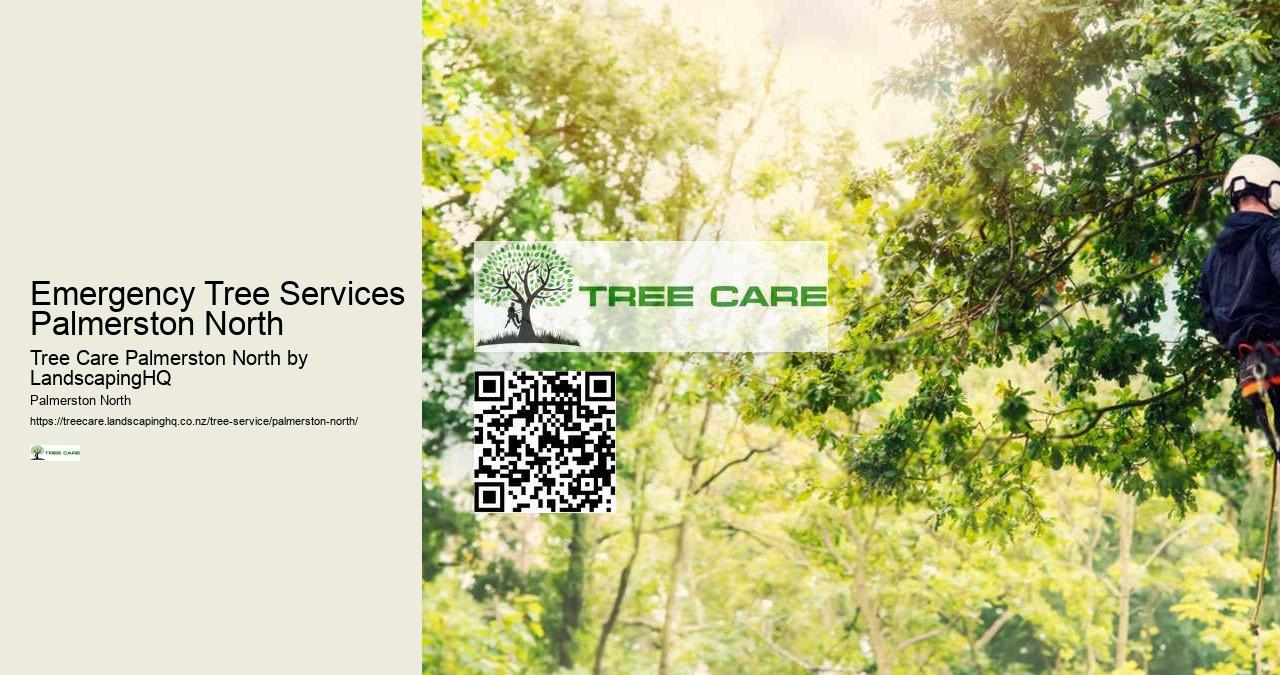 Storm-Damaged Tree Services Palmerston North