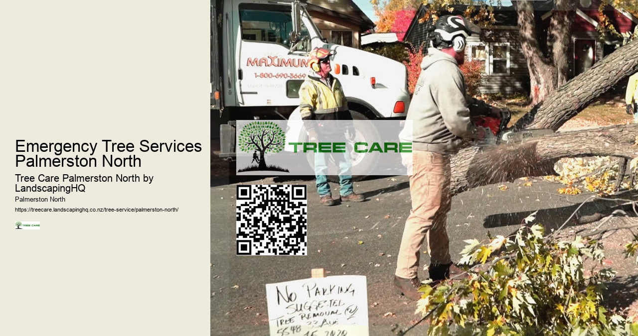 Arborist Consulting in Palmerston North