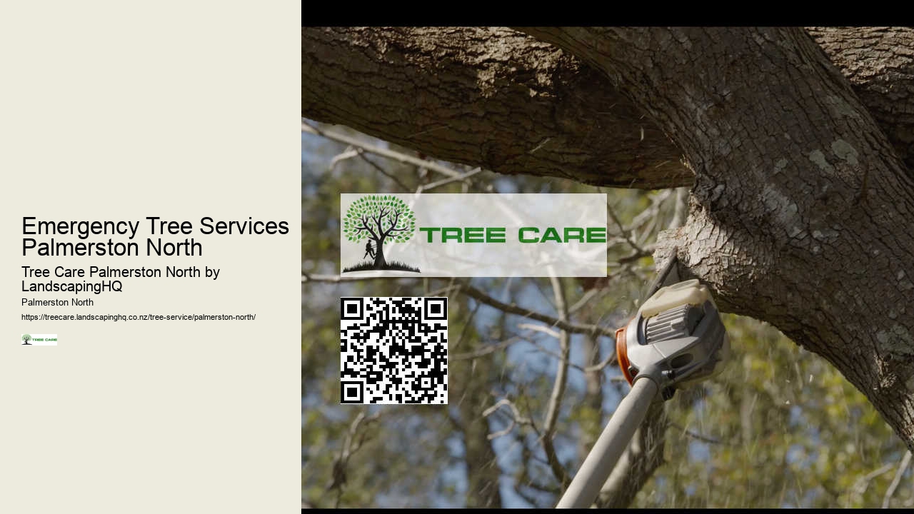 Affordable Tree Cutting Palmerston North