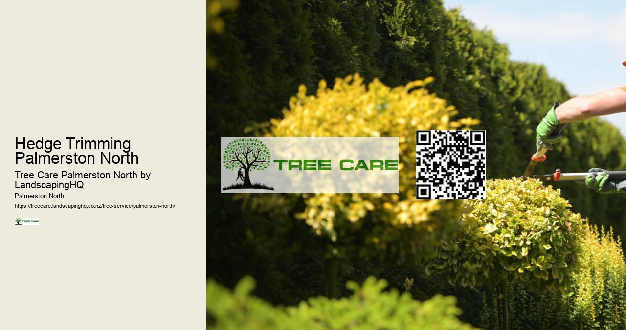 Hedge Trimming Palmerston North